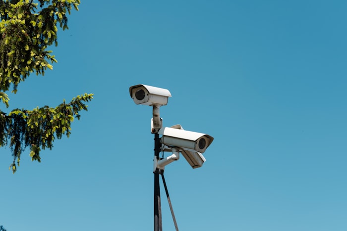 IP-camera's